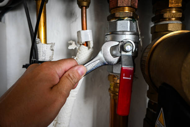 Best Same-Day Plumbing Service  in Central, LA